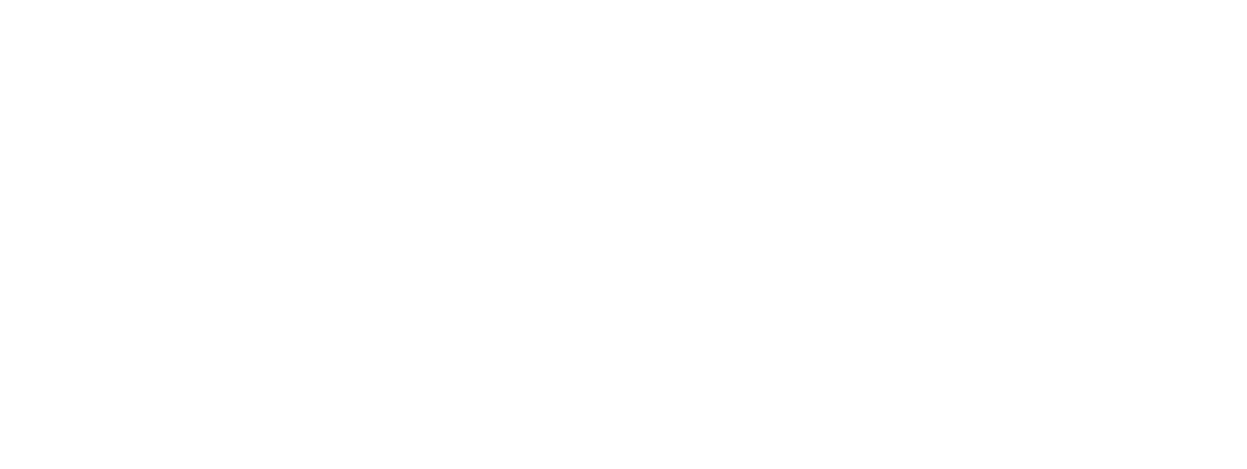 Black-Mountain-Investment-Group-White-Logo